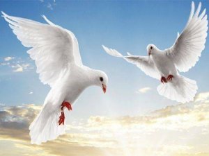 Feathered Image Sliding Puzzle