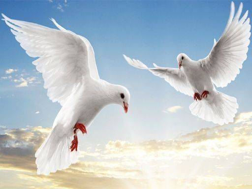 Feathered Image Sliding Puzzle