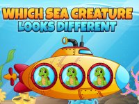 Which Sea Creature Looks Different Online Game