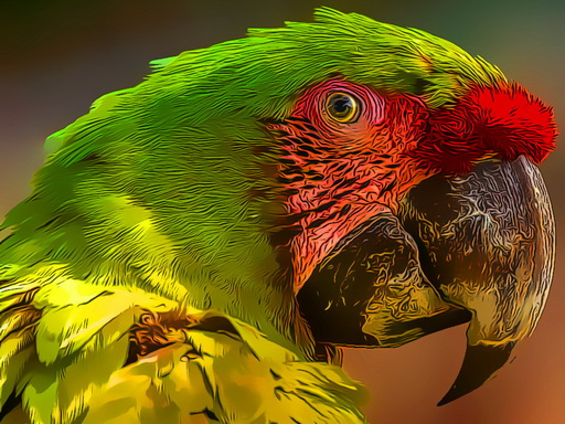Colorful Parrot Jigsaw Puzzle