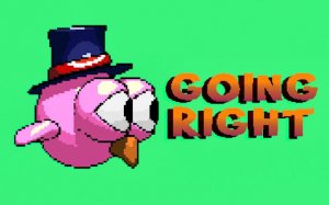 Going Right: Bird Flight Adventure