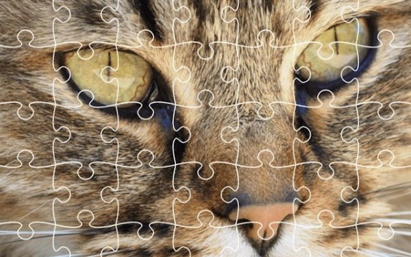 Animal Jigsaw Puzzle Classic