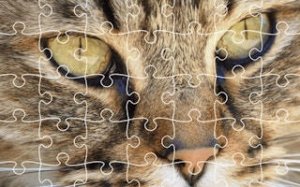 Animal Jigsaw Puzzle Classic
