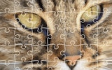 Jigsaw Puzzle Classic: Free Online Puzzle Game