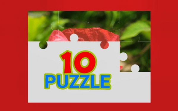 TenPuzzle Logic Puzzle Game