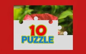 TenPuzzle Logic Puzzle Game