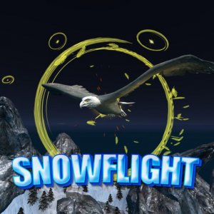 Snowflight Bird Flight Game