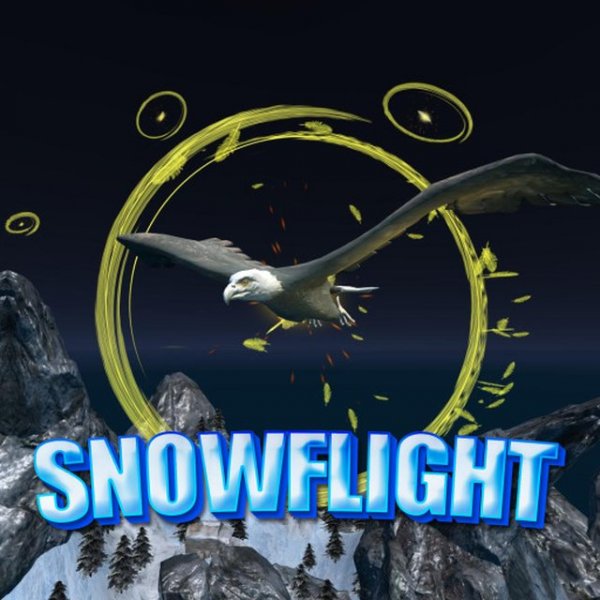 Snowflight Sky Soaring Adventure